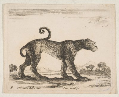 9. tábla: leopárd, „Különféle állatok” Diversi animali, kb. 1641. alkotó: Stefano della Bella