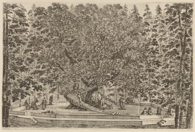 A lakott fa, valószínűleg 1653. alkotó: Stefano della Bella