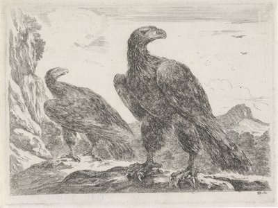 Két sas fejjel jobbra Eagles (sorozat címe) alkotó: Stefano della Bella
