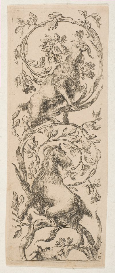 Két kecske rágcsáló ág, kb. 1653. alkotó: Stefano della Bella