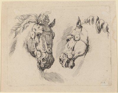 Két lófej, valószínűleg 1649-ből. alkotó: Stefano della Bella