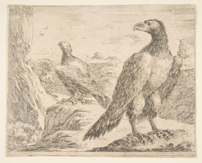Két sas, az Eagles-től Les aigles, kb. 1651. alkotó: Stefano della Bella
