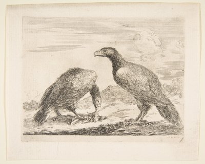 Két sas, az egyik egy bárányt fal, az Eagles Les aigles-től, kb. 1651. alkotó: Stefano della Bella