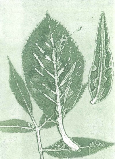 Gone IX, 2015 (monoprint, papír) alkotó: Stephen Dow