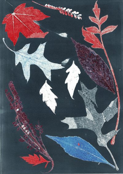 Jol X, 2017 (monoprint, papír) alkotó: Stephen Dow