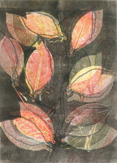 Midnight Garden V, 2015 (monoprint, papír) alkotó: Stephen Dow