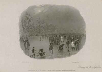 Korcsolyázás a Serpentine-on, Hyde Park, London alkotó: Stephen Pearce
