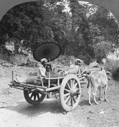 Családi utazás a dzsungelben Mingun közelében, Burmában, 1908 alkotó: Stereo Travel Co