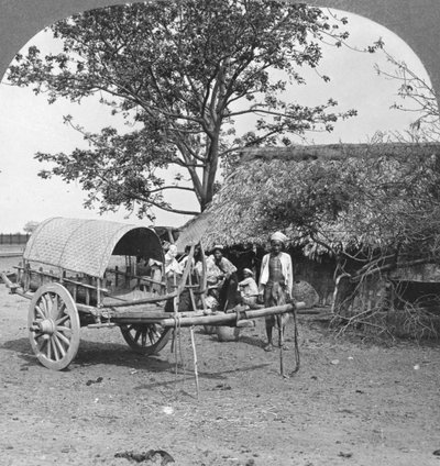 Bambuszból és levelekből épült falusi ház, Burma, 1908. alkotó: Stereo Travel Co
