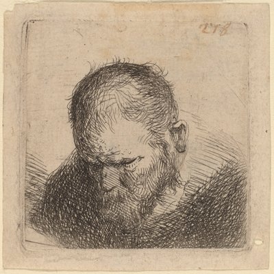 Szakállas Férfi Lenézett alkotó: Studio of Rembrandt van Rijn