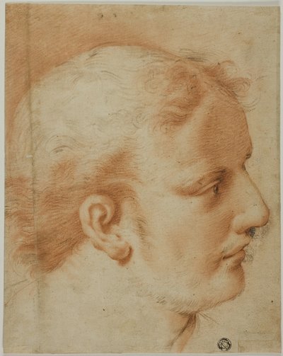 Fiatal férfi feje, profilban jobbra alkotó: Style of Benedetto Luti