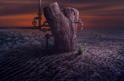  alkotó: Sulaiman Almawash