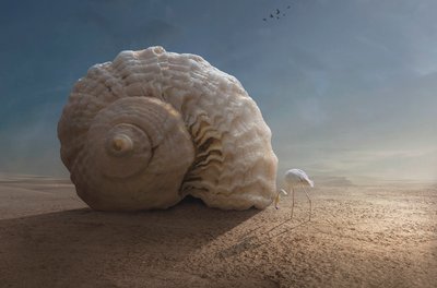  alkotó: Sulaiman Almawash