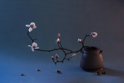 Zen magnóliavirág alkotó: Summer2016
