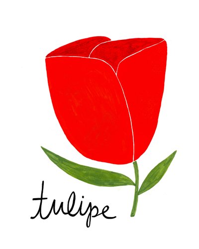 Élénkpiros tulipán alkotó: Susan Black