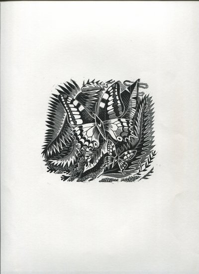 Trópusi pillangók (fametszet) alkotó: Suzanne Cooper
