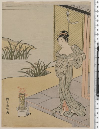 Fiatal nő néz egy fazék rózsaszín, 1767 körül alkotó: Suzuki Harunobu