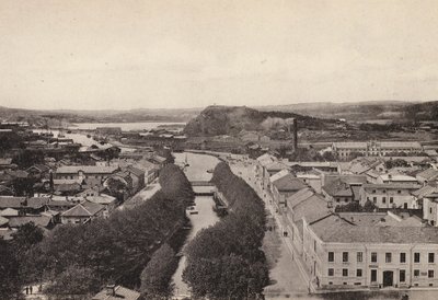Sverige / Sweden: Bohuslan, Uddevalla (b/w photo)   1317640   hu       hungarian Successfully Translated  Original: Lieveheersbeestje, rups, pissebed en twee torretjes Dieren (series title) Translat: Lieveheersbeestje, rups, pissebed en twee torretjes Dier alkotó: Swedish Photographer