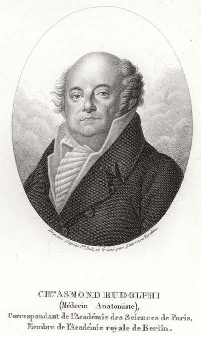 Karl Asmund Rudolphi alkotó: Swedish School