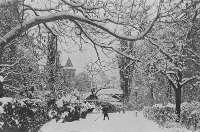Neuchatel, The English Garden (f/w fotó) alkotó: Swiss Photographer