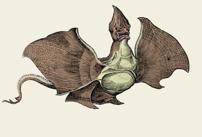 Fantasztikus tengeri szörny, illusztráció Conrad Gesner „Az állatok története” című művéből (színes litho) alkotó: Swiss School