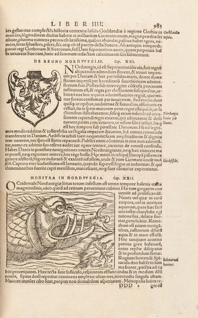 Cosmographiae Universalis 983. oldal, Sebastian Muenster, Basel, 1572 alkotó: Swiss School