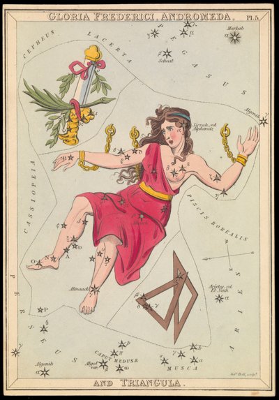 Gloria Frederich, Androméda és Triangula, 1825 körül (kártya, papír, selyem) alkotó: Sydney Hall