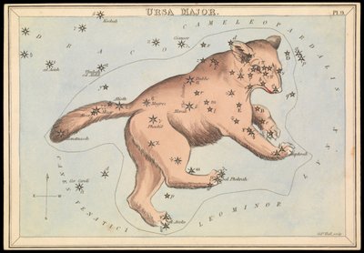 Ursa Major, 1825 körül (kártya, papír, szövet) alkotó: Sydney Hall