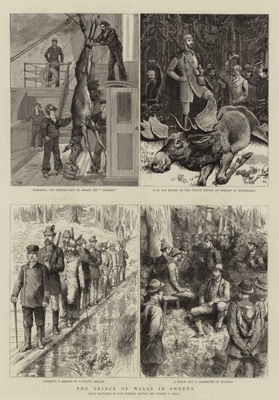 A walesi herceg Svédországban alkotó: Sydney Prior Hall