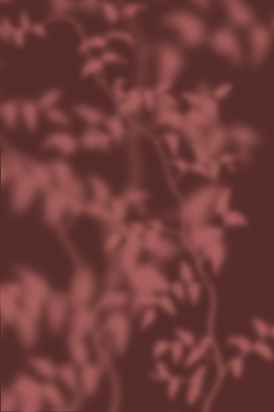  alkotó: THE MIUUS STUDIO