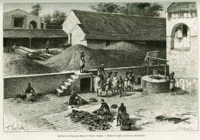 A Maurel és Prom gyárban, Boulamban földimogyorót, pálmamandulát és gumit válogatnak össze és dolgoznak fel. Taylor metszet, fénykép után, A. Brosselard kapitány 1888-as Voyage dans la Senegambie et la Guinee portuguese történetének illusztrálására, alkotó: T Taylor