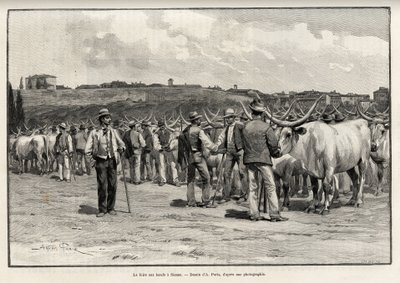A marhahúsvásár Sienában (Olaszország). Taylor metszete Eugene Muntz (1845-1902) „A travers la Toscane” című történetének illusztrálására, a Le tour du Monde 1892-ben, rendezte Edouard Charton (1807-1891), Hachette, Párizs. alkotó: T Taylor