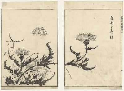 ji s kéz ls kert vin de r Ez a végső nyilatkozat (sorozat földje) alkotó: Tachibana Morikuni (attributed to)