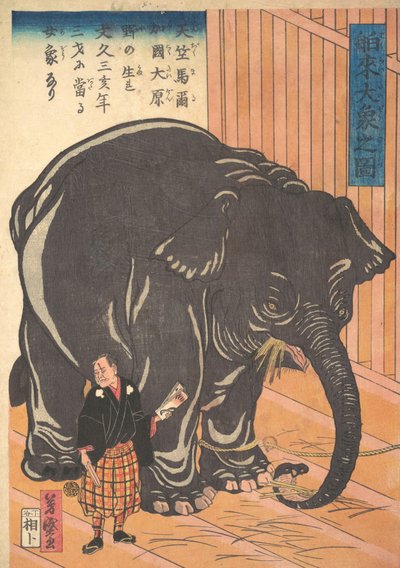 Kilátás a nagy importált elefántról, 1863 Bunkyo 3, 4. hónap. alkotó: Taguchi Yoshimori