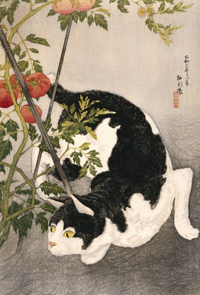 Macska kósza egy karózott paradicsomnövény körül, 1931 (fatömbnyomat) alkotó: Takahashi Hiroaki