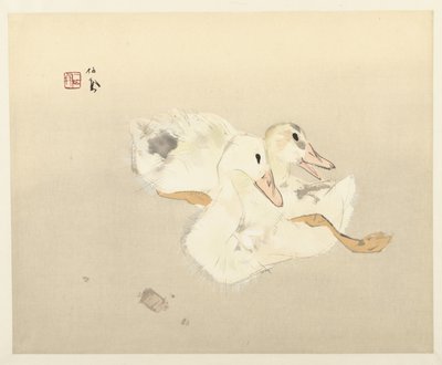 fiatal kacsák alkotó: Takeuchi Seiho