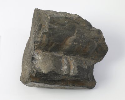 Lótusz talapzat töredéke alkotó: Tang Dynasty Chinese School