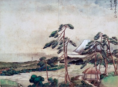 Kilátás a Kanagawa-partra alkotó: Tani Buncho