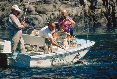 A fogását rögzítő filmfelvételen egy horgász lazacot teker a Bute Inletnél. alkotó: Ted Spiegel