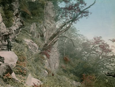 a Kegon vízesésekhez vezető úton Nikkóban, 1900-1915 körül (fénykép) alkotó: Teijiro Takagi