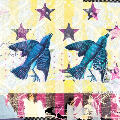 Birds in Serie, 2015 (kollázs, vászon) alkotó: Teis Albers