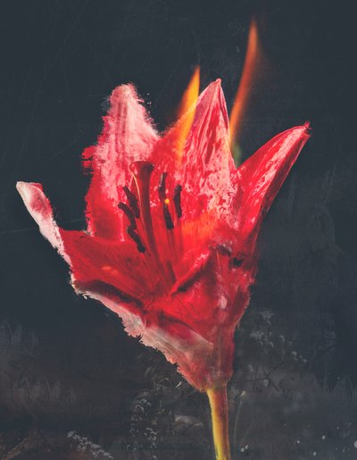 Combust, 2019 (vegyes technika, vászon) alkotó: Teis Albers