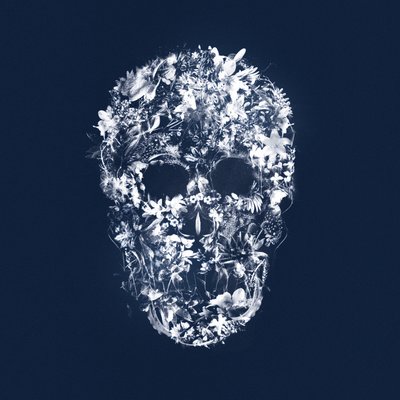 FloralSkull, 2018 (vegyes technika, vászon) alkotó: Teis Albers