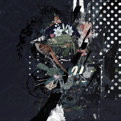 Floralbirds, 2017 (kollázs, vászon) alkotó: Teis Albers