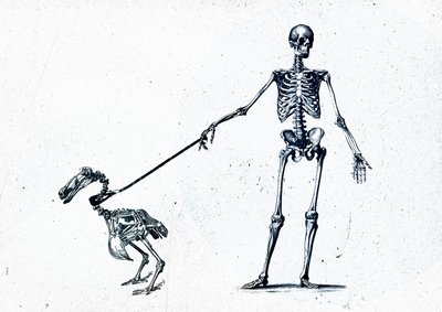Walking my dodo, 2015 (vegyes technika, vászon) alkotó: Teis Albers