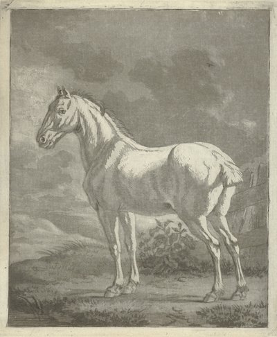 Penész a réten alkotó: Tethart Philip Christian Haag