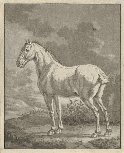 Penész a réten alkotó: Tethart Philip Christian Haag
