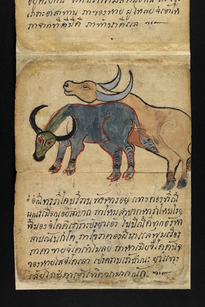 Vagy. 16482, f.15 „Satra”  Jóslásról és tanácsokról a boldog és egészséges élethez (hajtogatós könyv) alkotó: Thai School