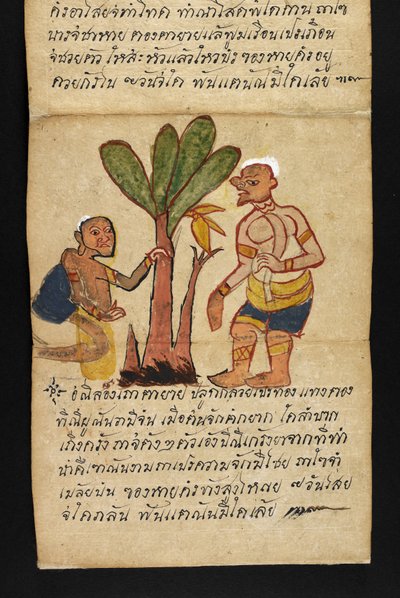Vagy. 16482, f.21 „Satra”  Jóslásról és tanácsokról a boldog és egészséges élethez (hajtogatós könyv) alkotó: Thai School