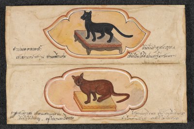Sziámi macskák, Fol. 1: két szerencsés macska, akik támogatják az üzletet és a vagyon felhalmozását, Or. 16797, f.1 (pergamen) alkotó: Thai School